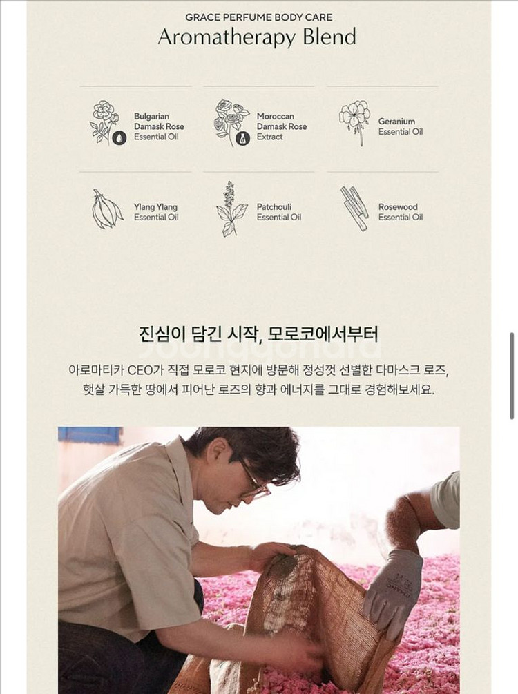 아로마티카 로즈 퍼퓸 바디워시&바디로션 세트--3