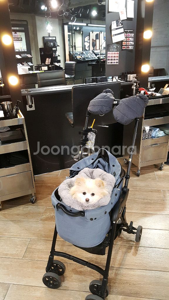 콤펫 강아지 유모차--0
