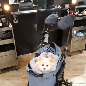 콤펫 강아지 유모차