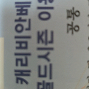 캐리비안베이 골드시즌 이용권 2매
