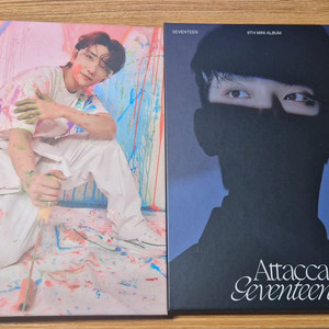 세븐틴 캐럿반