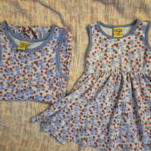 던스 연보라 산딸기 일괄(86,98)