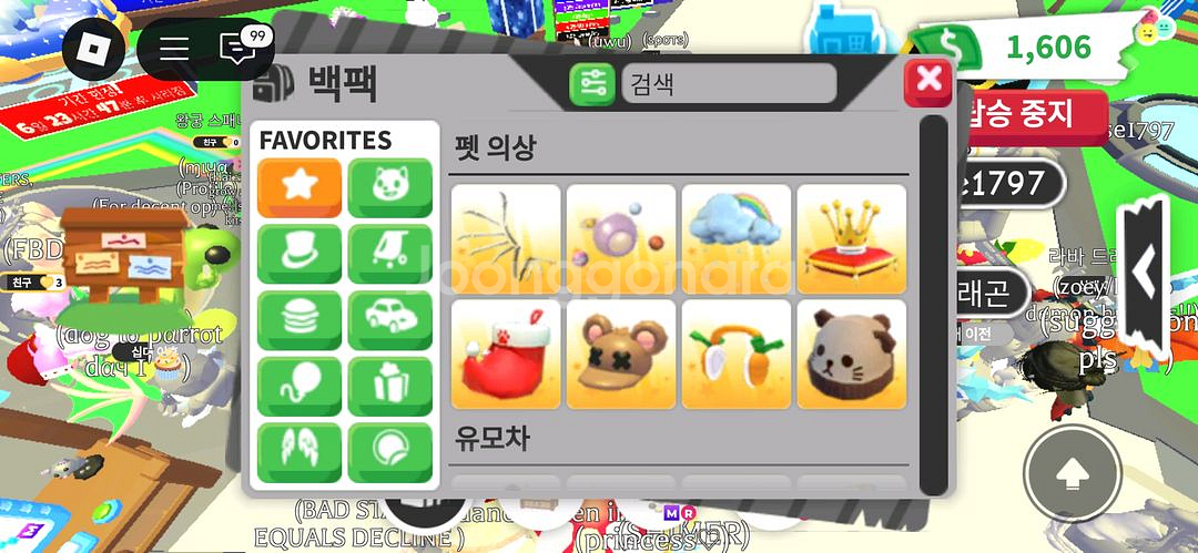 입양하세요 펫하고 템들 팔아요--6