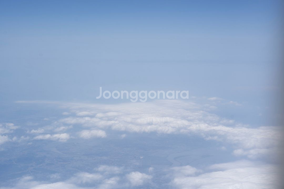 올라잇 그린 블루 150포 대용량 새제품 미개봉--0