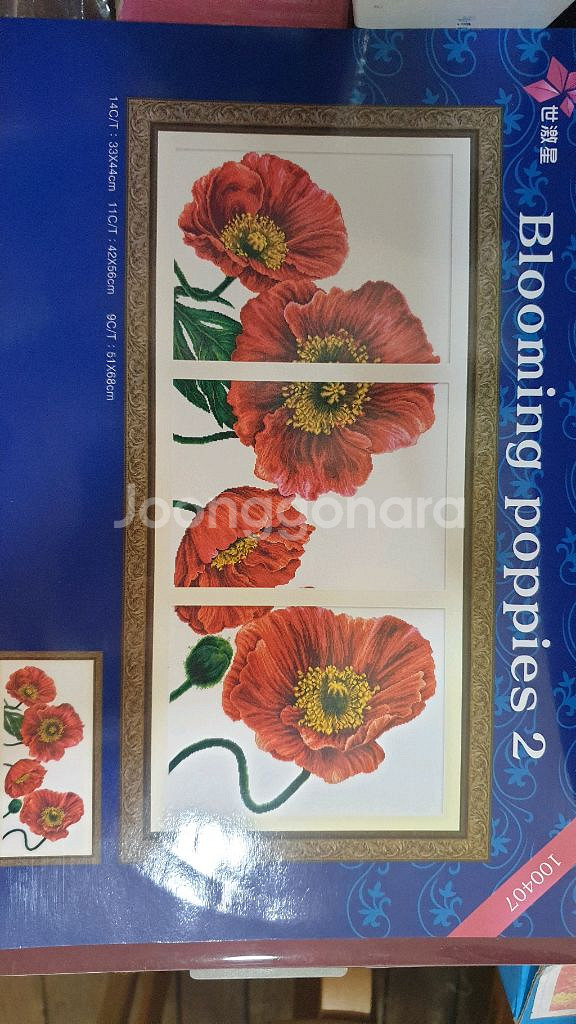 Blooming poppies--0