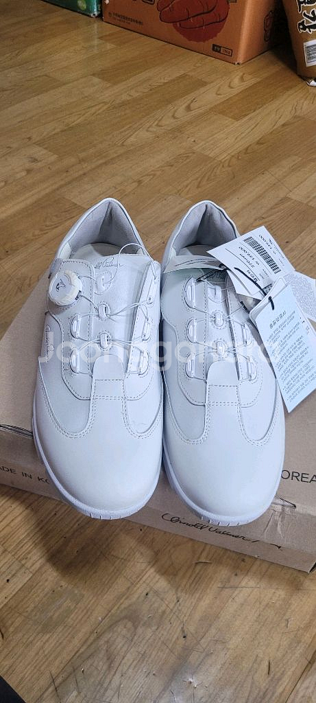 아놀드 파마 첼진저 골프화 270mm 새거--0