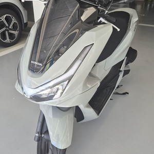 PCX125 25년식 6월등록 700키로 410만원