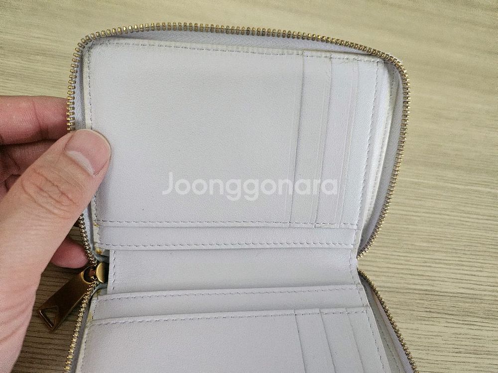 보테가 베네타 집 어라운드 지갑 머스 워시드--6