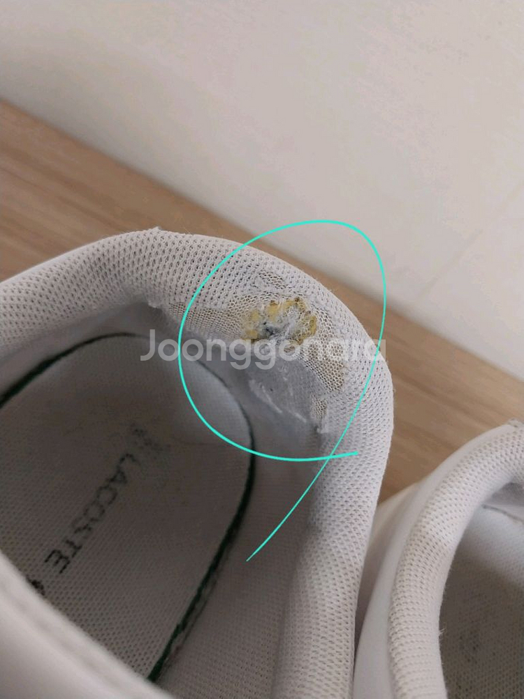 여성 라코스테 카나비 에보 스니커즈,운동화(240)--5