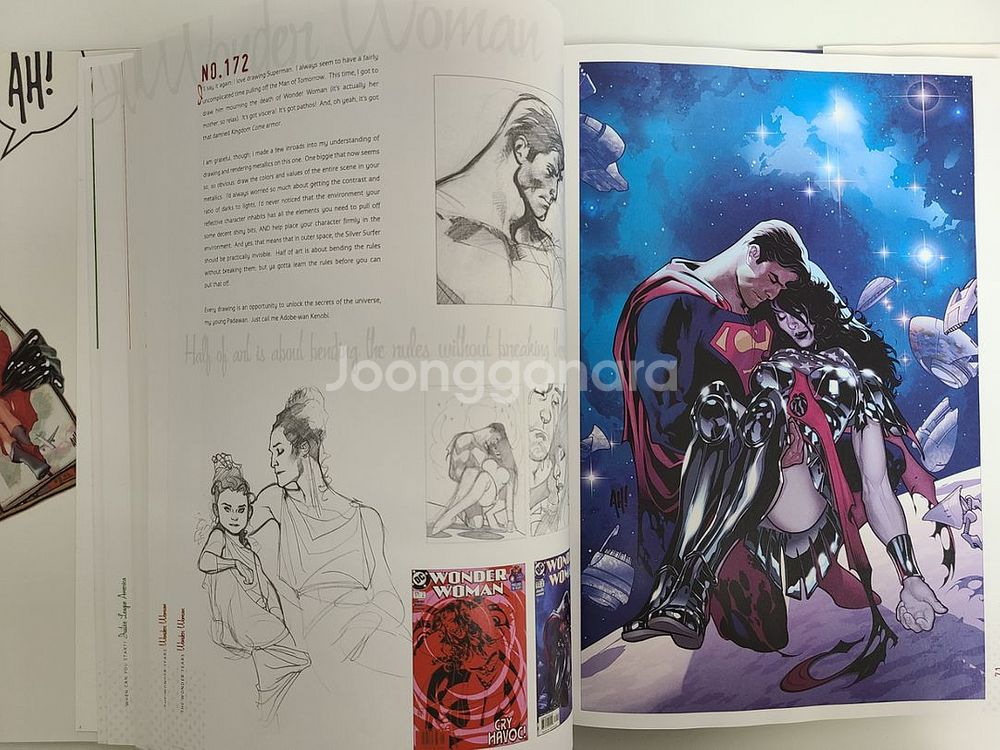 아담휴즈 DC코믹스 일러스트 미술 화집--4