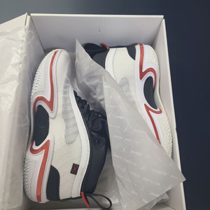 (300) 나이키 조던 36 PF