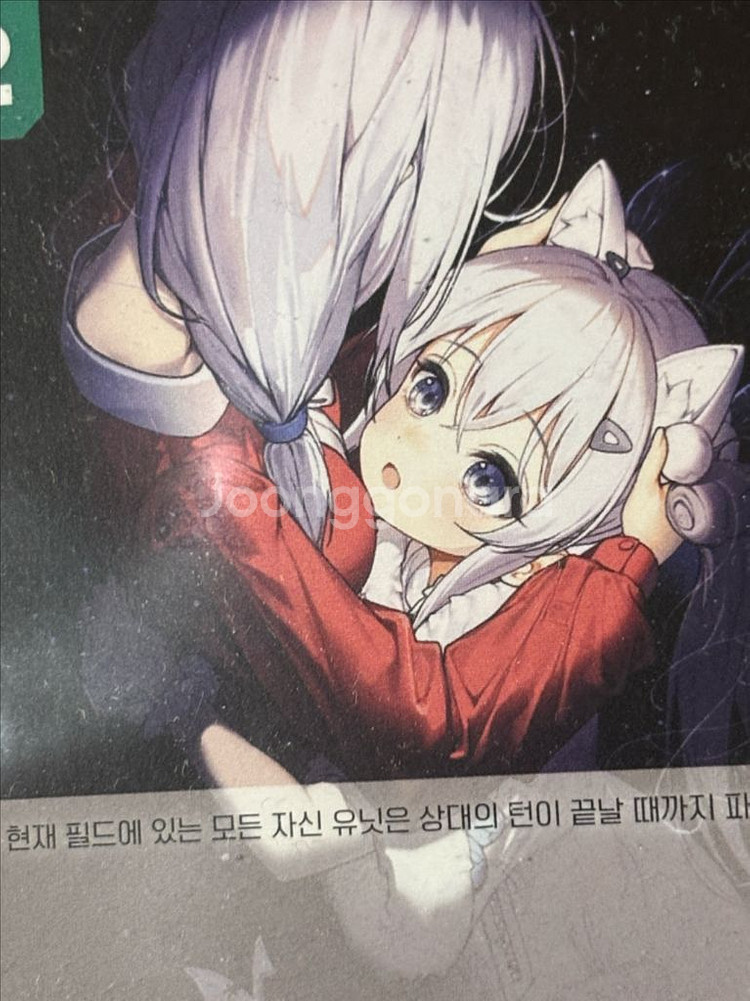 파란 나비의 꿈 니케 카드 인테리어 소품 꾸미기용 포장--5