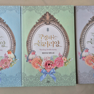 구경하는 들러리양 세트 엘리아냥 웹소설 미개봉 포함