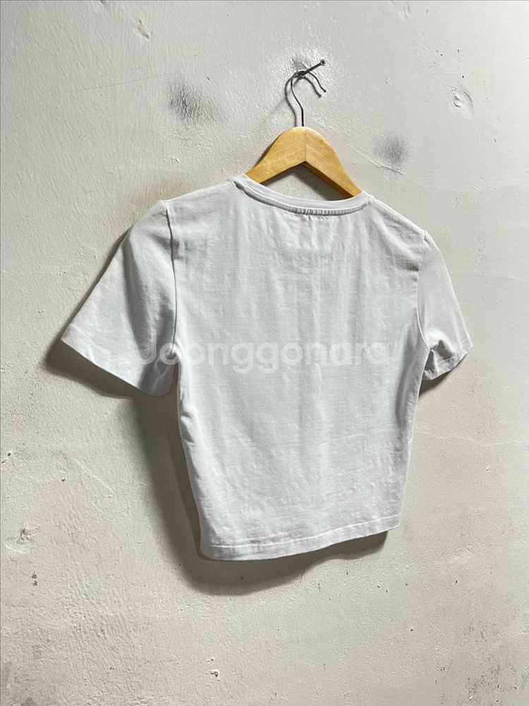 55 ZARA 자라 스판 크롭 반팔티--2