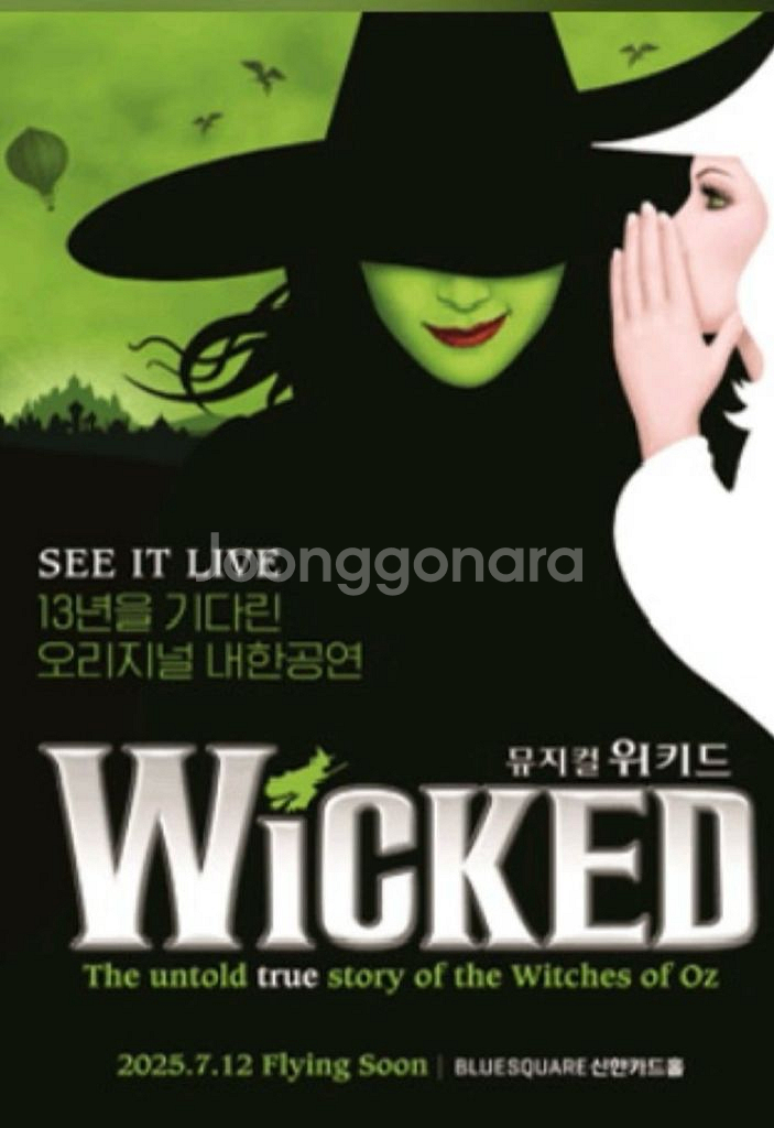 뮤지컬 위키드 vip석 2매( 8/ 16 토 7시)--0