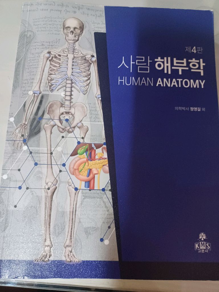 사람해부학 고문사--0