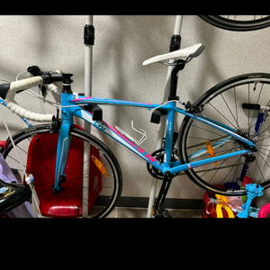 자이언트 리브 어베일 여성용 자전거