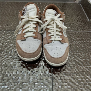 나이키 덩크 로우 프로 프리미엄 미디움 커리