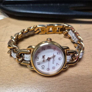 코치 Delancey Ladies stainless 1
