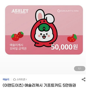 애슐리 5만원