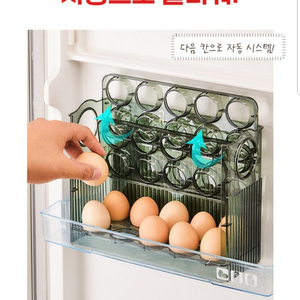 자동 계란 트레이 새상품