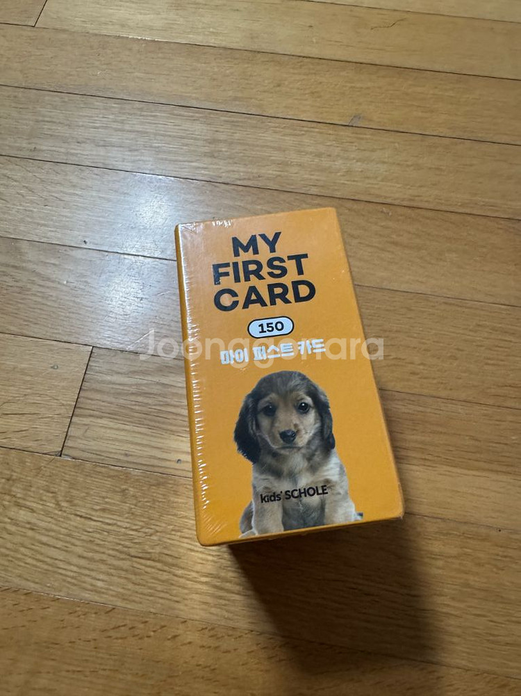 키즈스콜레 My First Card 150--0