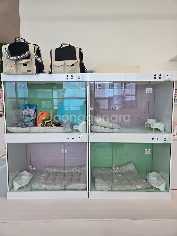 강아지 애견민들레장 호텔장--0