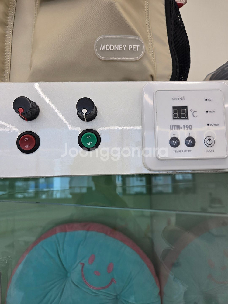 강아지 애견민들레장 호텔장--2