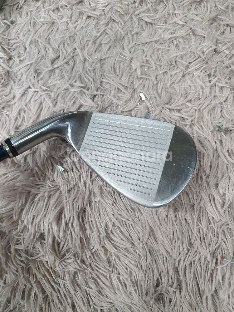 젝시오여성 mp500 5번아이언--6