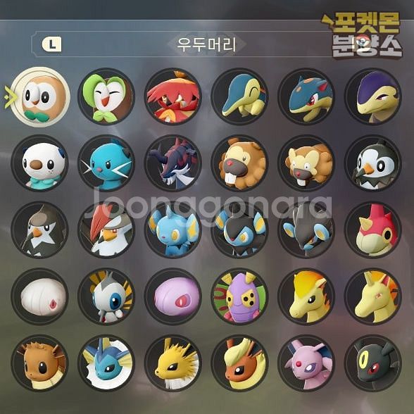 우두머리 포켓몬 / 레전드 아르세우스 / 닌텐도 스위치--0