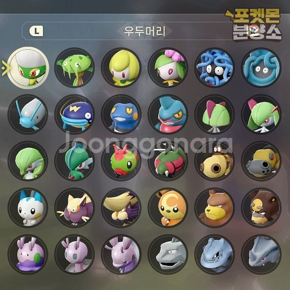 우두머리 포켓몬 / 레전드 아르세우스 / 닌텐도 스위치--3