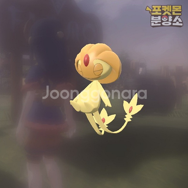 이로치 전설의 포켓몬 분양 / 레전드 아르세우스--4