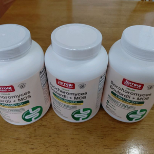 사카로미세스 보울라디 모스