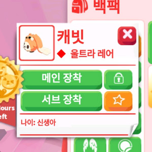 입양하세요 무능캐빗