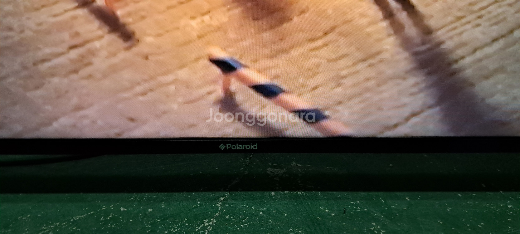 4167 폴라노이드 55인치 스탠드 UHD+LED TV--9