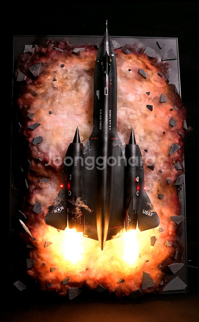 대형 블랙버드 액자디오라마--1