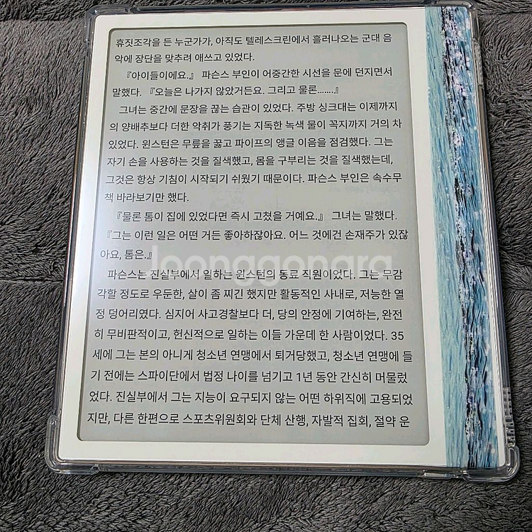 오닉스 북스 Go7 (고7) 7인치 흑백 이북리더기--0