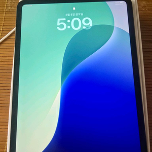 아이패드 M4 11 셀룰러 1테라 팝니다