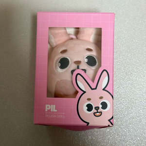데이식스 데니멀즈 필끼 24 원필