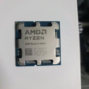 라이젠 9600x 랄리발