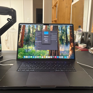 맥북프로 m4 max 36 / 1TB 싸이클 28 블랙