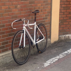 인터프로 경륜 독주 판/대