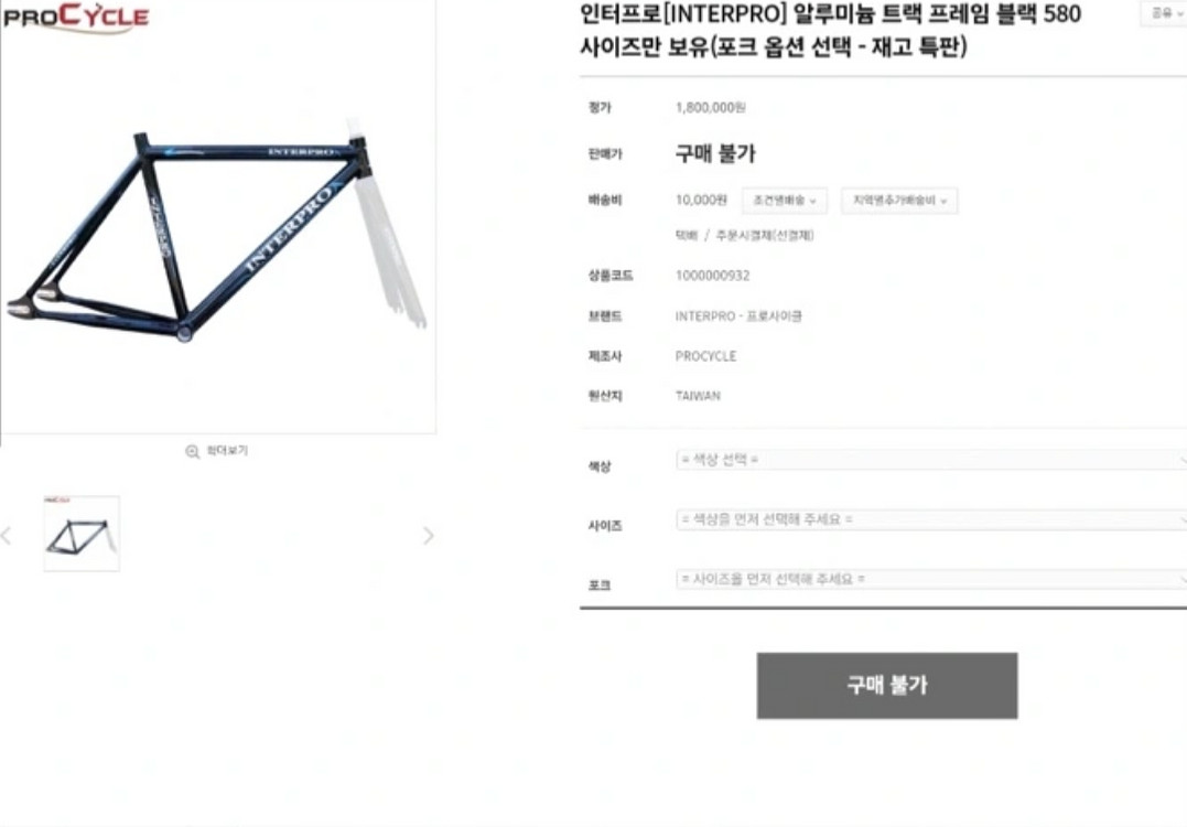 인터프로 경륜 독주 판/대--2