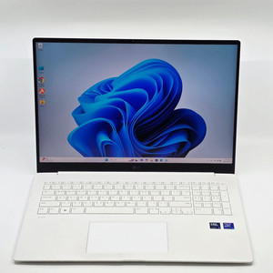 LG그램 프로17 17ZD90SP-GX56K 17인치