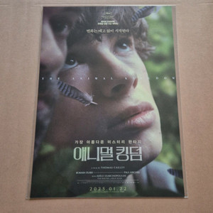 애니멀 킹덤 해외 영화 포스터 특전 폴 키르셰