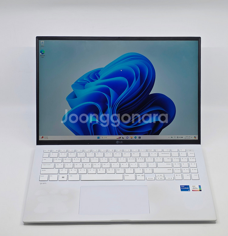 LG그램 16인치 16ZD90RU-GX56K 16GB--0