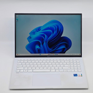 LG그램 16인치 16ZD90RU-GX56K 16GB