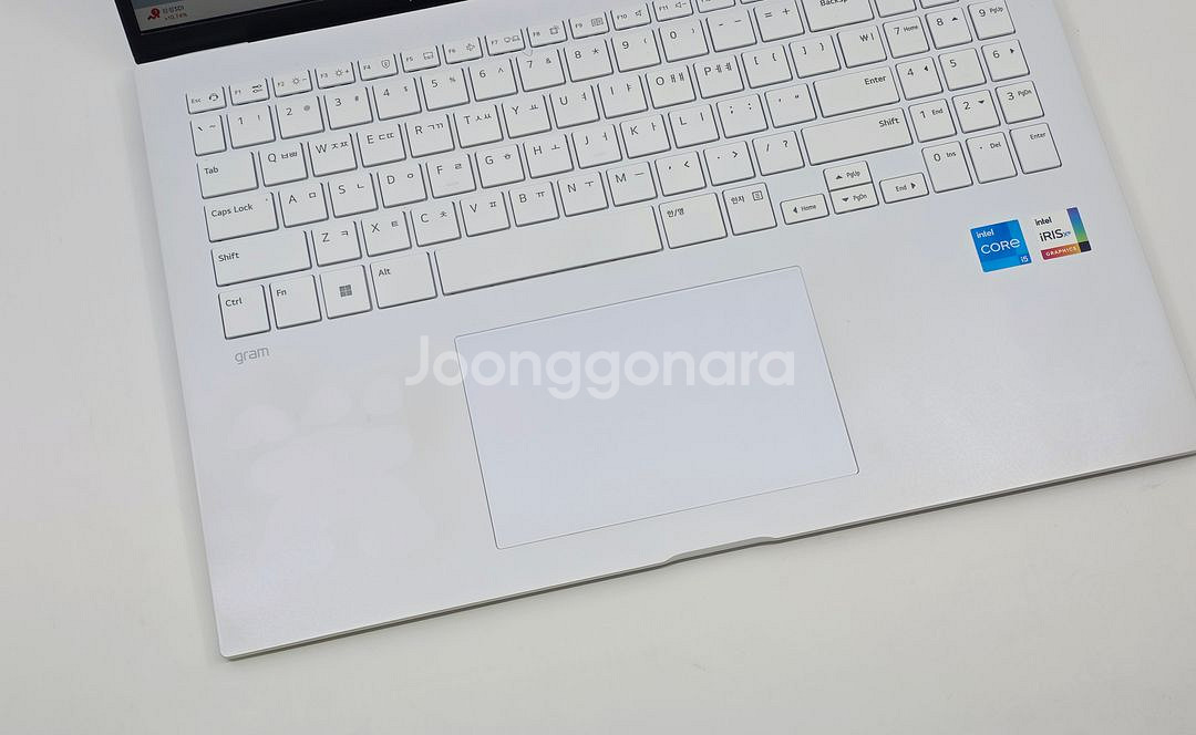 LG그램 16인치 16ZD90RU-GX56K 16GB--2