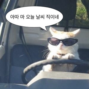 말론 최상급 기기 팝니다