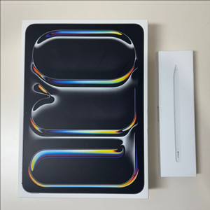 아이패드 프로 11 M4 + 애플펜슬 USB-C